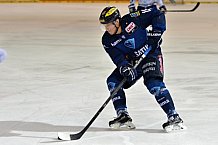 ERC Ingolstadt vs Hamburg Freezers, Eishockey, DEL, Deutsche Eishockey Liga, 10.01.2016