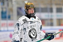Eishockey, Frauen, DFEL, Saison 2025-2026, ERC Ingolstadt - HK Budapest, 15.11.2025