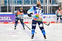 Eishockey, Frauen, DFEL, Saison 2024-2025, ERC Ingolstadt - ECDC Memmingen Indians, 16.11.2024