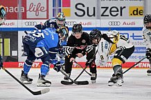 Eishockey, Frauen, DFEL, Saison 2023-2024, ERC Ingolstadt - Mad Dogs Mannheim, 18.02.2024