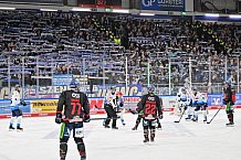 Eishockey, Herren, DEL, Saison 2024-2025, Spieltag 39, Straubing Tigers - ERC Ingolstadt, 24.01.2025