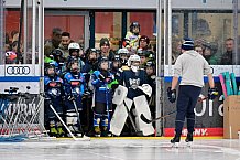Eishockey, Saison 2025-2026, ERC Ingolstadt - Kids On Ice Day, 10.01.2026
