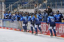 Eishockey, Frauen, DFEL, Saison 2020-2021, ERC Ingolstadt - Eisbären Juniors Berlin, 09.01.2021