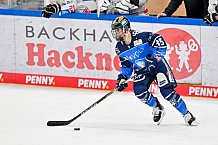 Eishockey, Frauen, DFEL, Playoffs, Finale, Spiel 3, Saison 2023-2024, ERC Ingolstadt - ECDC Memmingen Indians, 23.03.2024