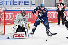 Eishockey, Herren, DEL, Saison 2024-2025, Playoffs Halbfinale, Spiel 5, ERC Ingolstadt - Kölner Haie, 11.04.2025