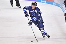 ERC Ingolstadt vs Eisbären Berlin, DEL, Deutsche Eishockey Liga, Spieltag 49, 22.02.2019