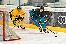 Eishockey, Herren, DEL, Saison 2026-2027, ERC Ingolstadt - HC Verva Litvinov - Steinbach Black Wings Linz, 22.08.2026