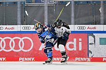 Eishockey, Frauen, DFEL, Saison 2023-2024, ERC Ingolstadt - Amsterdam Tigers, 06.01.2024