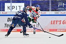 Eishockey, Herren, DEL, Saison 2024-2025, Spieltag 15, ERC Ingolstadt - Augsburger Panther, 03.11.2024