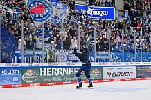 Eishockey, Herren, DEL, Saison 2024-2025, Spieltag 28, ERC Ingolstadt - Schwenninger Wild Wings, 20.12.2024