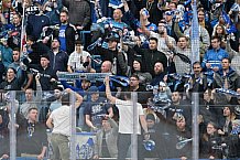 Eishockey, Herren, DEL, Saison 2025-2026, Spiel 44, ERC Ingolstadt - Dresdner Eislöwen, 27.01.2026