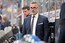 Eishockey, Herren, DEL, Saison 2024-2025, Spieltag 42, ERC Ingolstadt - Kölner Haie, 31.01.2025
