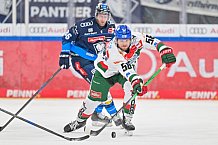 Eishockey, Herren, DEL, Saison 2024-2025, Spieltag 35, ERC Ingolstadt - Augsburger Panther, 10.01.2025