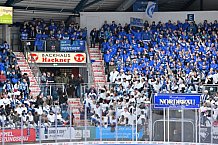 Eishockey, Herren, DEL, Saison 2023-2024, Spieltag 39, ERC Ingolstadt - Iserlohn Roosters, 19.01.2024