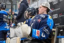 Eishockey, Herren, U20 DNL, Saison 2025-2026, ERC Ingolstadt - Jungadler Mannheim, 24.01.2026