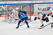 Eishockey, Frauen, DFEL, Saison 2024-2025, ERC Ingolstadt - Eisbären Berlin, 15.02.2025