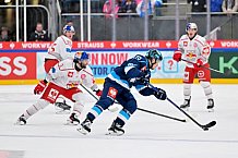 Hockey, Mens, CHL, Season 2025-2026, Regular Season, Round of 16, ERC Ingolstadt - EC Red Bull Salzburg, 12.11.2025
