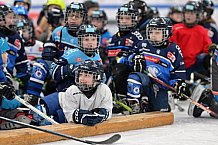 Eishockey, Herren, DEL, Saison 2024-2025, ERC Ingolstadt - Kids On Ice Day, 11.01.2025