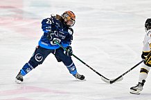 Eishockey, Frauen, DFEL, Vorbereitung, Saison 202-2025, ERC Ingolstadt - St. Pölten, 07.09.2024