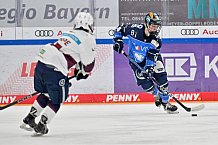 Eishockey, Frauen, DFEL, Playoffs, Saison 2023-2024, ERC Ingolstadt - Eisbären Berlin, 02.03.2024