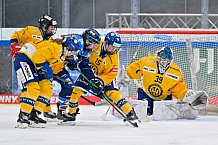 Eishockey, Frauen, DFEL, Saison 2025-2026, Testspiel, ERC Ingolstadt - HC Davos, 14.02.2026