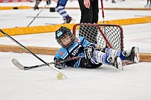 Eishockey, Herren, DEL, Saison 2022-2023, ERC Ingolstadt - Kids On Ice Day, 14.01.2023