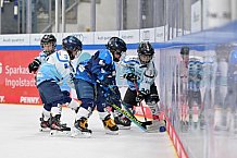 Eishockey, Herren, DEL, Saison 2026-2027, Spieltag 2, ERC Ingolstadt - Nürnberg Ice Tigers, 20.09.2026