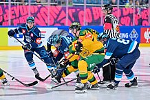 Hockey, Mens, CHL, Season 2025-2026, Regular Season, Game Day 1, ERC Ingolstadt - Ilves Tampere, 28.08.2025