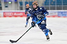 Eishockey, Frauen, DFEL, Saison 2024-2025, ERC Ingolstadt - ECDC Memmingen Indians, 16.11.2024