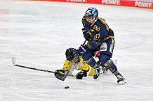 Eishockey, Frauen, DFEL, Saison 2022-2023, ERC Ingolstadt - Mad Dogs Mannheim, 20.11.2022