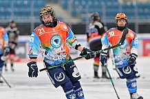 Eishockey, Frauen, DFEL, Saison 2024-2025, ERC Ingolstadt - EC Bergkamener Bären, 04.01.2025
