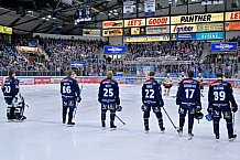 Eishockey, Herren, DEL, Saison 2024-2025, Spieltag 48, ERC Ingolstadt - Nürnberg Ice Tigers, 23.02.2025
