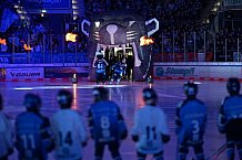 Eishockey, Herren, DEL, Saison 2024-2025, Spieltag 36, ERC Ingolstadt - Kölner Haie, 12.01.2025