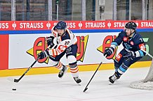 Eishockey, Mens, CHL, Season 2023-2024, ERC Ingolstadt - Växjö Lakers, 14.11.2023