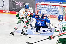 Eishockey, Herren, DEL, Saison 2025-2026, Spiel 19, ERC Ingolstadt - Augsburger Panther, 16.11.2025