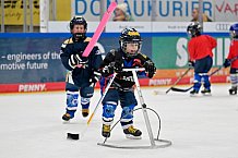 Eishockey, Saison 2025-2026, ERC Ingolstadt - Kids On Ice Day, 10.01.2026