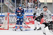 Eishockey, Herren, DEL, Saison 2024-2025, Spieltag 36, ERC Ingolstadt - Kölner Haie, 12.01.2025