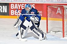 ERC Ingolstadt vs EHC Red Bull Muenchen, Eishockey, DEL, Deutsche Eishockey Liga, Spieltag 47, 12.02.2017