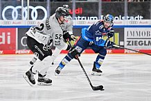 Eishockey, Herren, DEL, Saison 2024-2025, Spieltag 42, ERC Ingolstadt - Kölner Haie, 31.01.2025