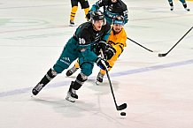 Eishockey, Herren, DEL, Saison 2026-2027, ERC Ingolstadt - HC Verva Litvinov - Steinbach Black Wings Linz, 22.08.2026