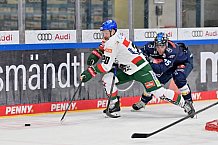 Eishockey, Herren, DEL, Saison 2024-2025, Spieltag 15, ERC Ingolstadt - Augsburger Panther, 03.11.2024