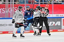 Eishockey, Herren, DEL, Saison 2024-2025, Spieltag 42, ERC Ingolstadt - Kölner Haie, 31.01.2025