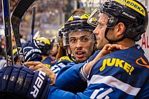 ERC Ingolstadt vs Thomas Sabo Ice Tigers, Eishockey, DEL, Deutsche Eishockey Liga, Spieltag 34,  03.01.2017