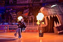 Eishockey, Herren, DEL, Saison 2024-2025, Spieltag 49, ERC Ingolstadt - Straubing Tigers, 28.02.2025