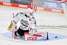 Eishockey, Herren, DEL, Saison 2025-2026, Spiel 16, ERC Ingolstadt - Kölner Haie, 31.10.2025