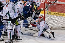 ERC Ingolstadt vs Augsburger Panther, Eishockey, DEL, Deutsche Eishockey Liga, Spieltag 33, 03.01.2016, Foto: st-foto.de / Oliver Strisch