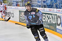 ERC Ingolstadt vs Duesseldorfer EG, Eishockey, DEL, Deutsche Eishockey Liga, Spieltag 50, 21.02.2017