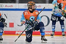 Eishockey, Frauen, DFEL, Saison 2024-2025, ERC Ingolstadt - Eisbären Berlin, 15.02.2025