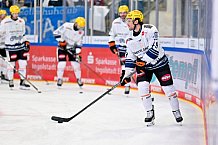 Eishockey, Herren, DEL, Saison 2026-2027, Spieltag 8, ERC Ingolstadt - Löwen Frankfurt, 11.10.2026