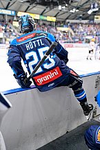 Eishockey, Herren, DEL, Saison 2025-2026, Spiel 10, ERC Ingolstadt - Löwen Frankfurt, 12.10.2025
